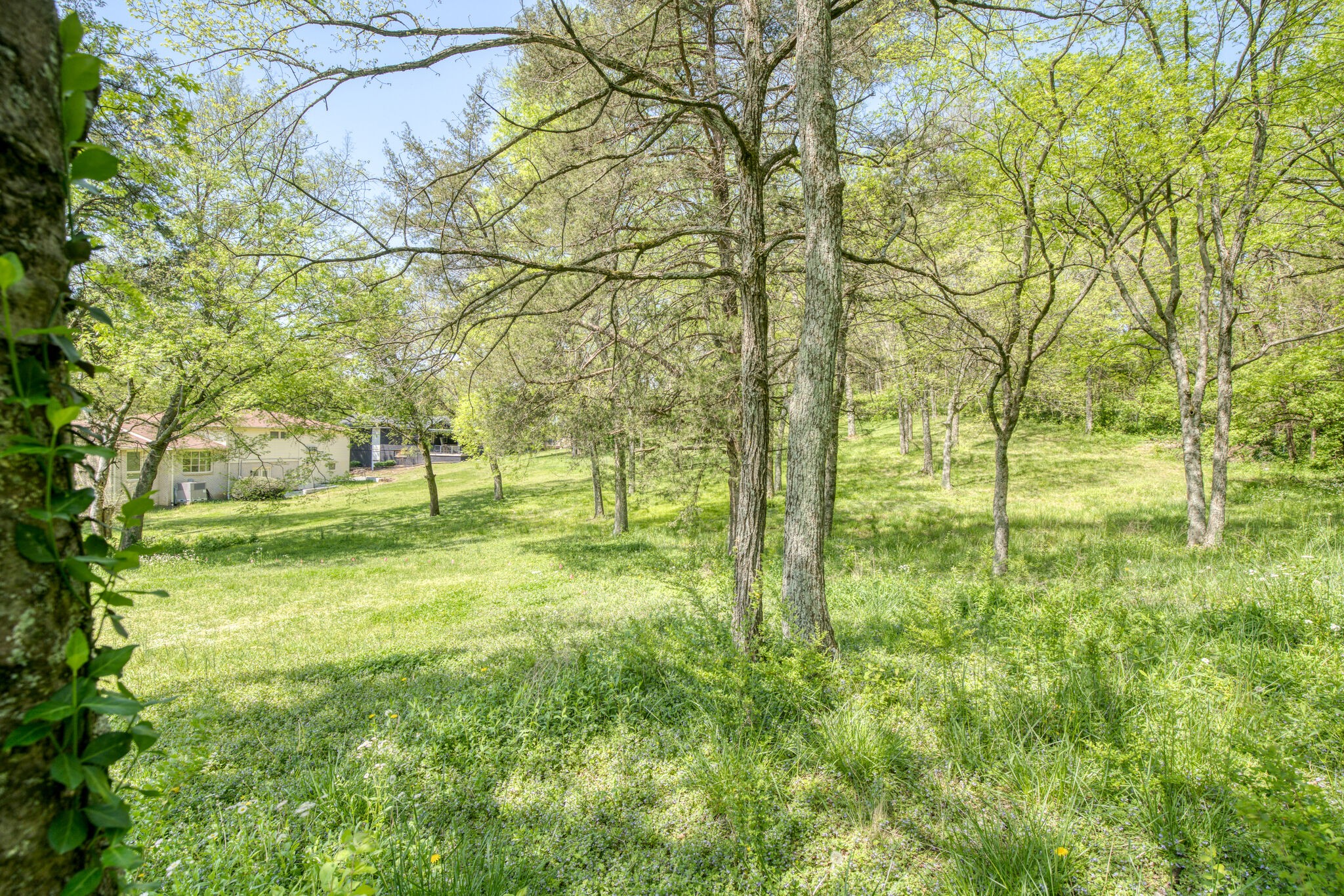 4134 West Hamilton Road Nashville, TN 37218 - Photo 34 of 35 a view of yard with green space