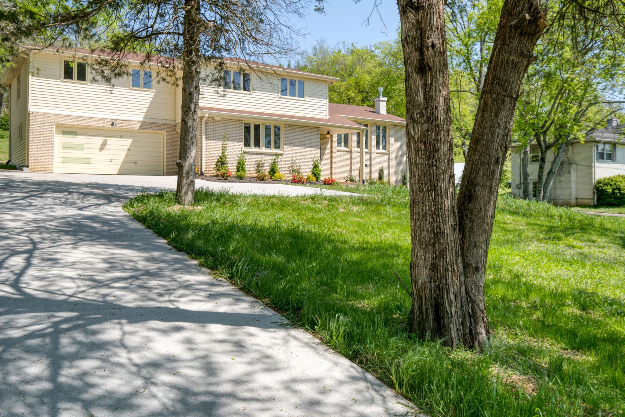 4134 West Hamilton Road Nashville, TN 37218 - Photo 4 of 35 a view of a house with backyard and a tree