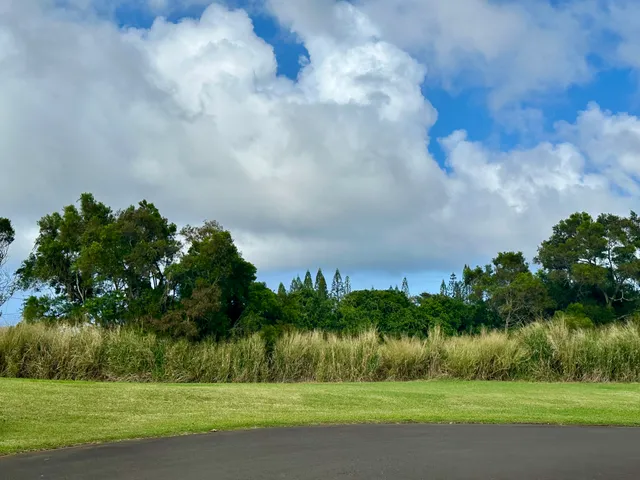 a view of a golf course with a lake
