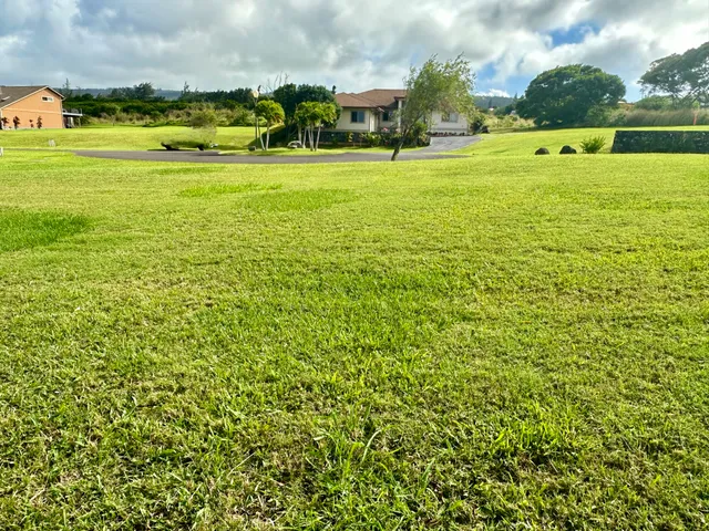 a view of a golf course with a lake