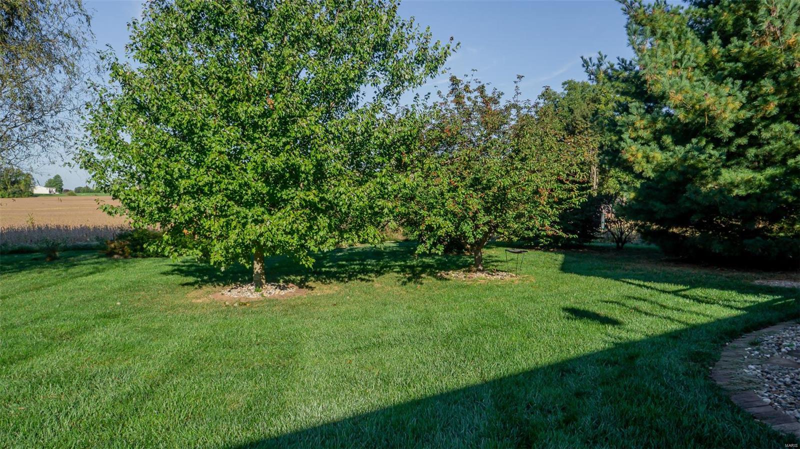 2791 East B Street Road, Unit A Belleville, IL 62221 - Photo 58 of 63 Gallery Image 58