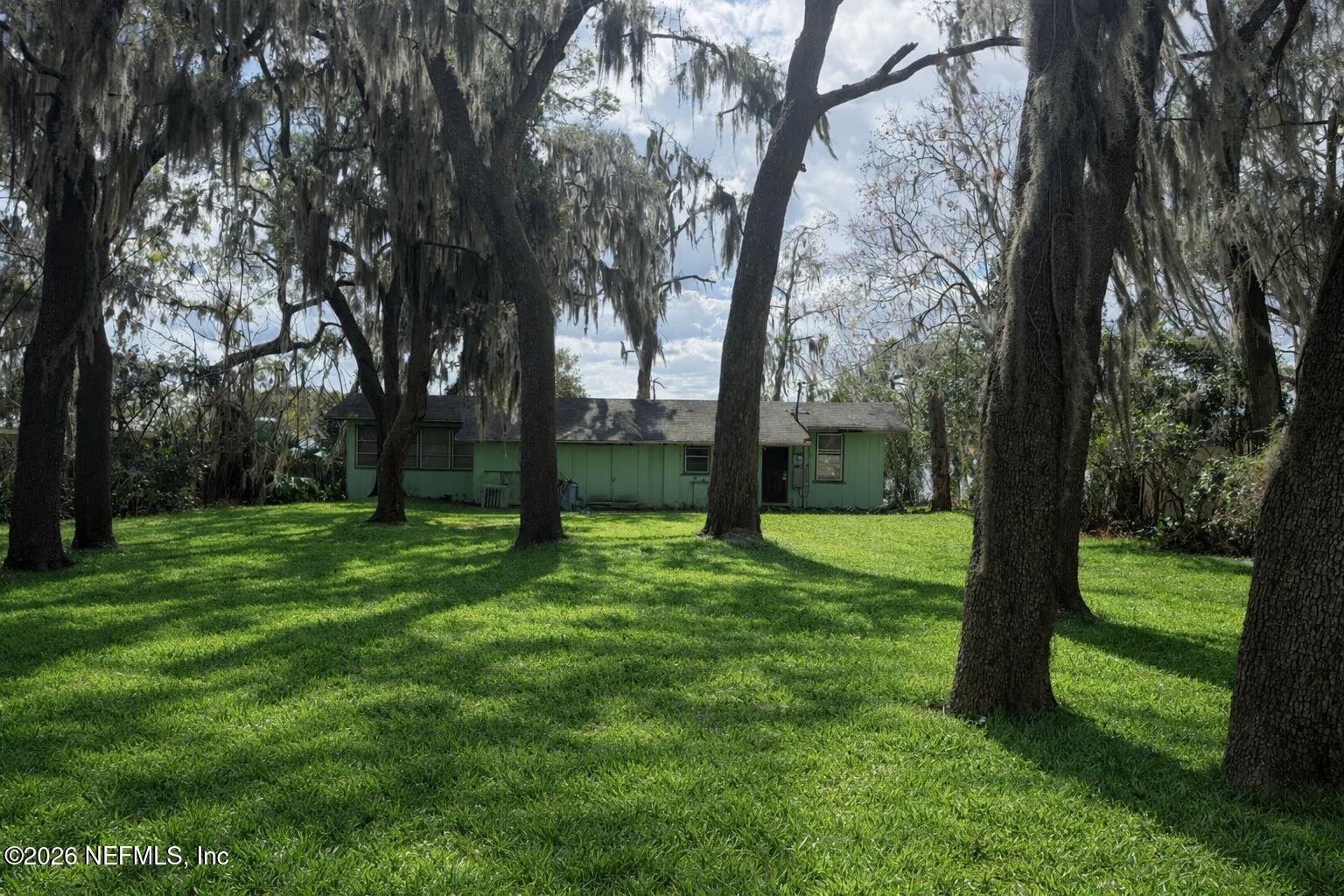 a view of a trees in a yard