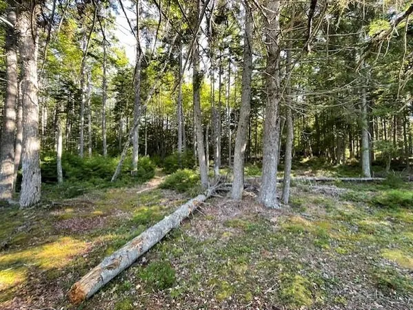 $130,000 | Lot # Lot#15-2 Fort, Harrington, ME 04643