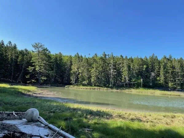 $130,000 | Lot # Lot#15-2 Fort, Harrington, ME 04643