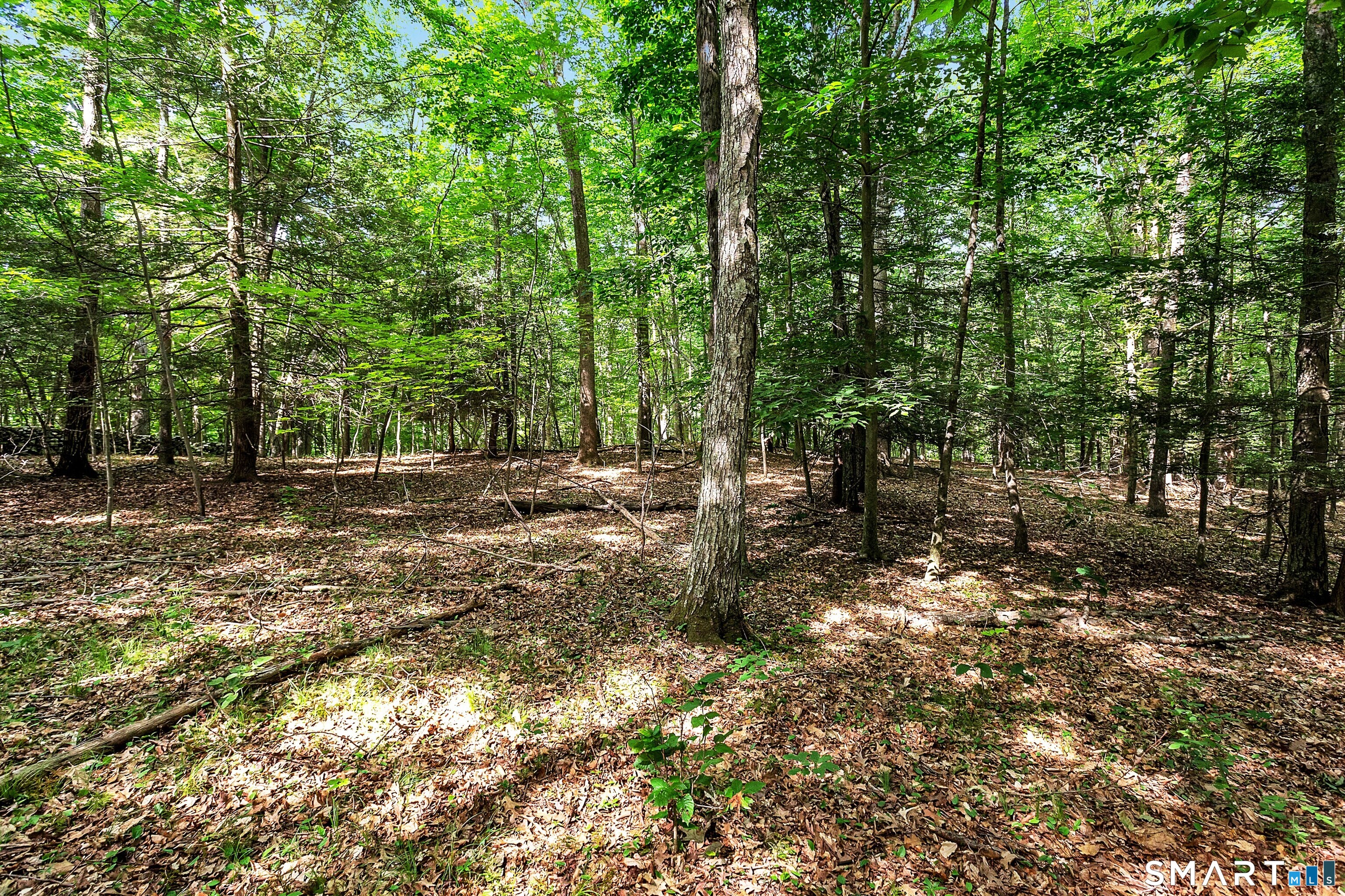 200 North Street Roxbury, CT 06783 - Photo 12 of 20