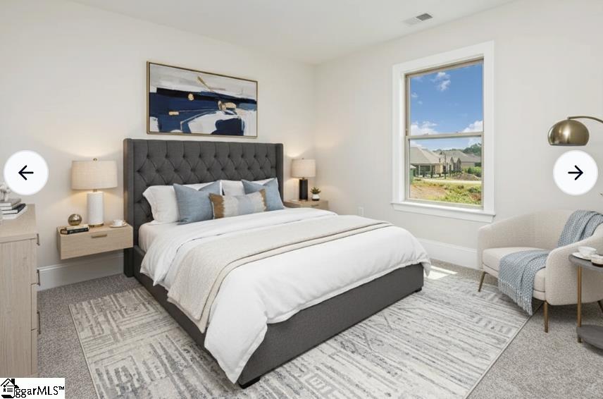 410 Palazzo Place Greer, SC 29650 - Photo 17 of 26