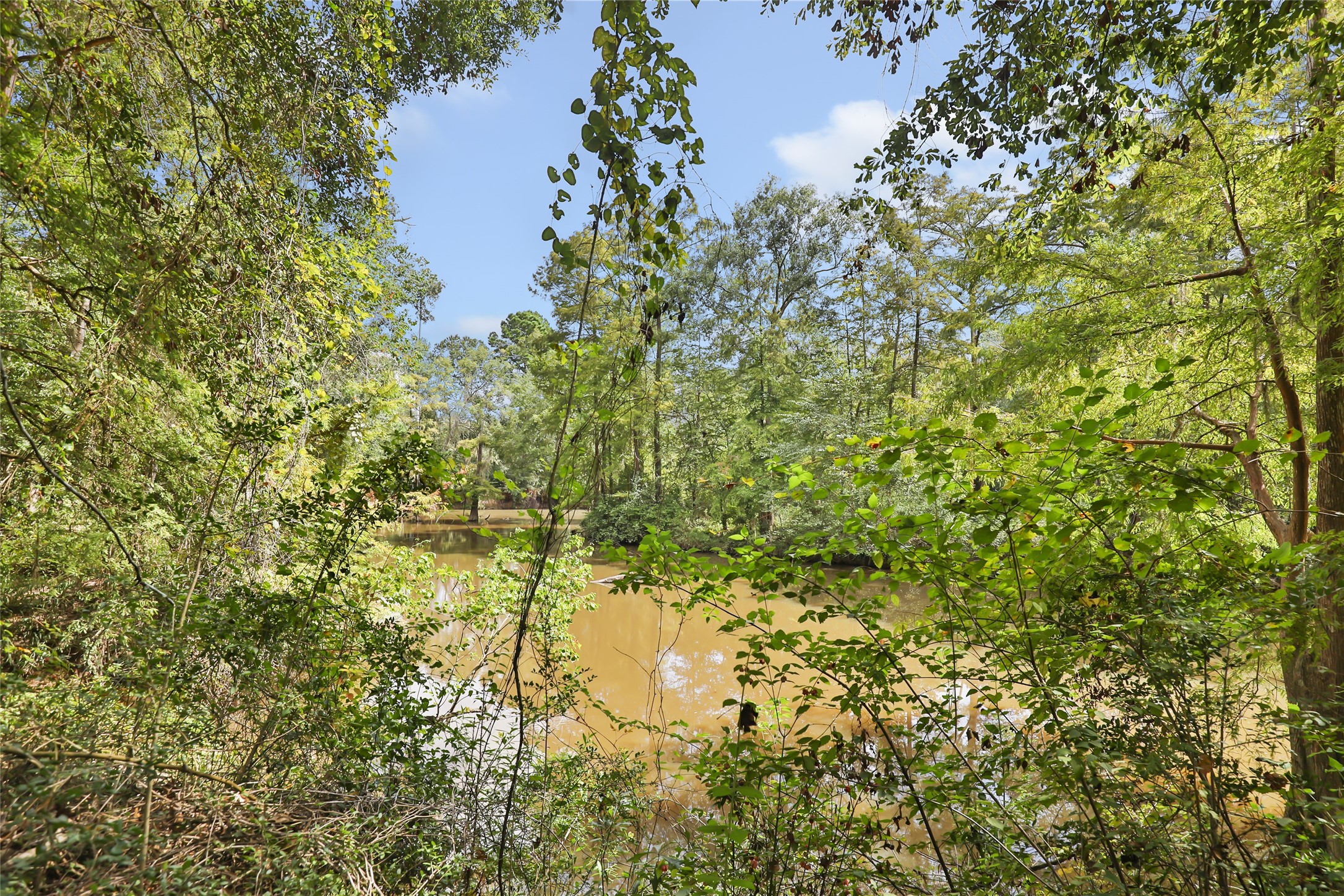 29430 East Irvin Road Huffman, TX 77336 - Photo 21 of 49 Gallery Image 21