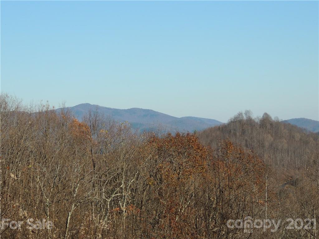 503 Summit Parkway, Unit LO16 Bostic, NC 28018 - Photo 35 of 38
