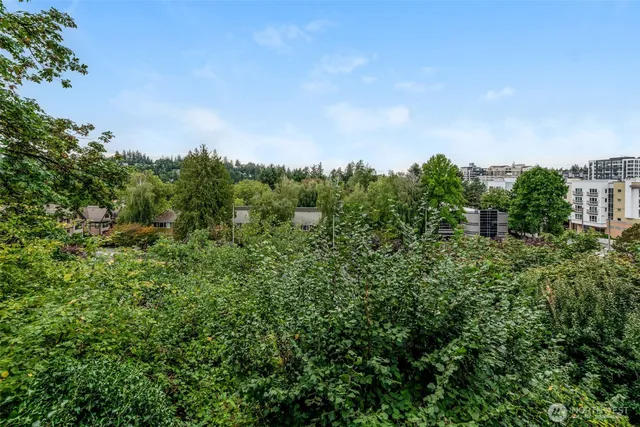 a view of a house with a street lush green forest