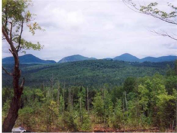 0 Wood Hill Road Sutton, VT 05867 - Photo 1 of 1 Gallery Image 1