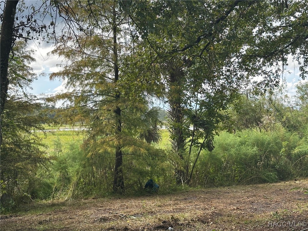 6661 East Turner Camp Road Inverness, FL 34453 - Photo 2 of 5