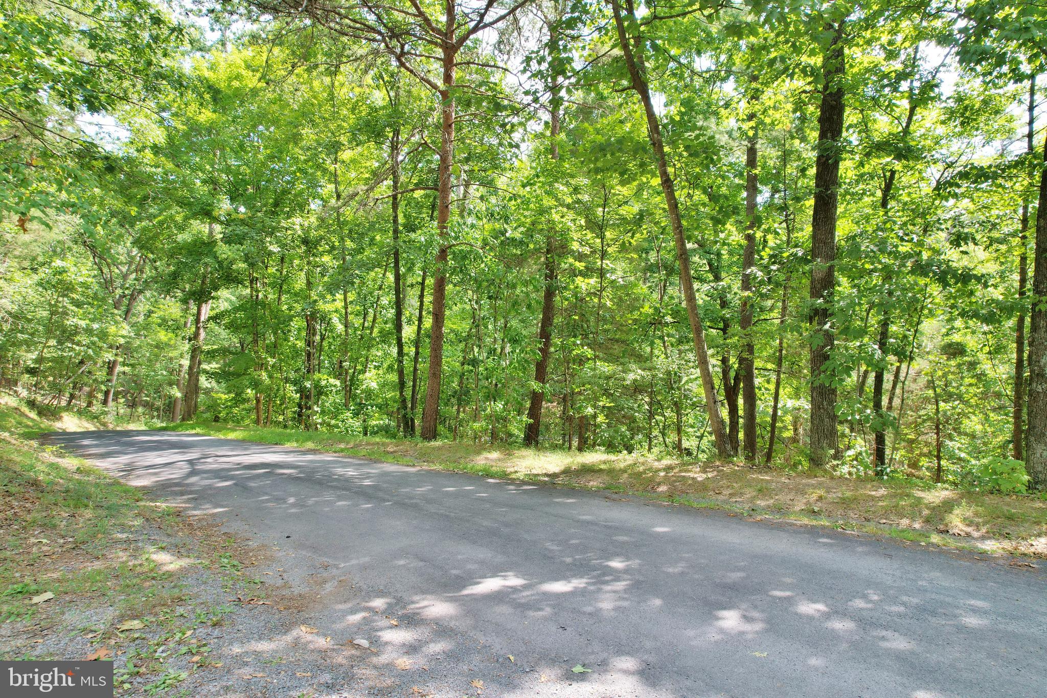 169 Palmer Road Basye, VA 22810 - Photo 46 of 49 Peaceful road