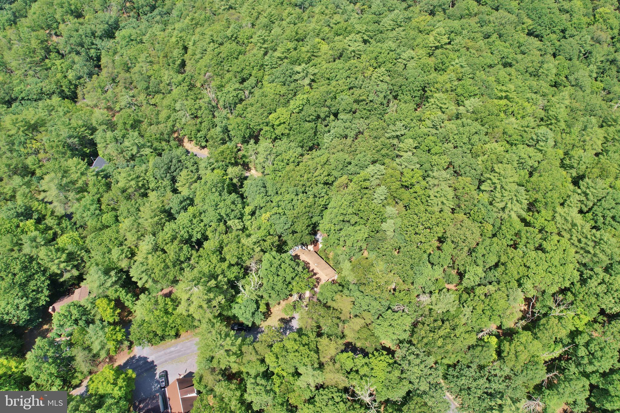 169 Palmer Road Basye, VA 22810 - Photo 47 of 49 Gallery Image 47