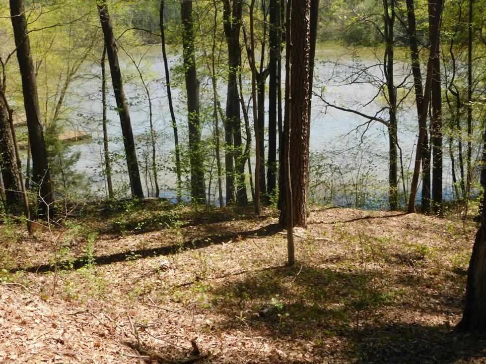 148 Lakeside Hills Road Martin, GA 30557 - Photo 5 of 26 Gallery Image 5