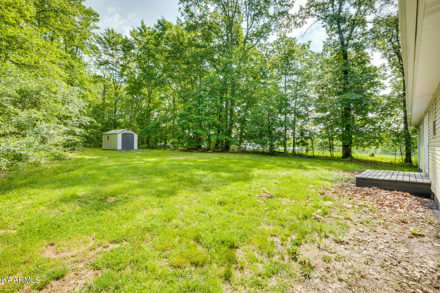 664 Pilot Mountain Road Sunbright, TN 37872 - Photo 31 of 37 032
