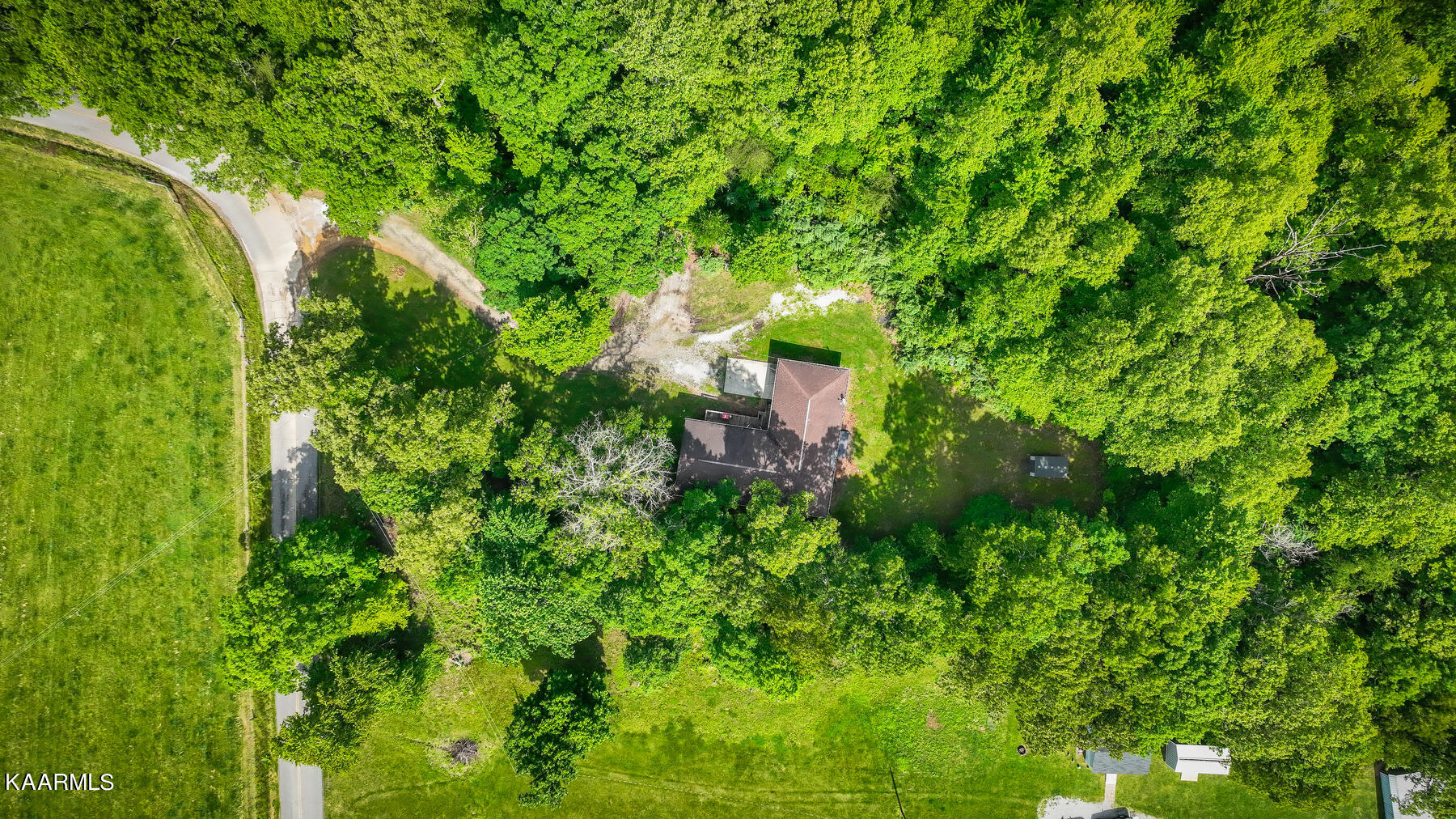 664 Pilot Mountain Road Sunbright, TN 37872 - Photo 35 of 37 101
