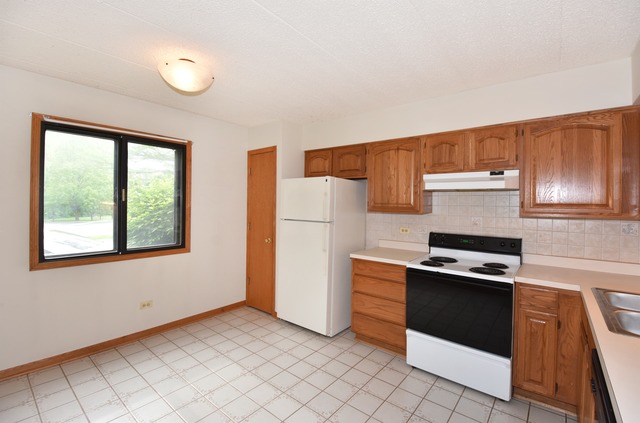 916 Olive Road, Unit 1B Homewood, IL 60430 - Photo 20 of 25