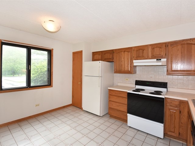 916 Olive Road, Unit 1B Homewood, IL 60430 - Photo 8 of 25