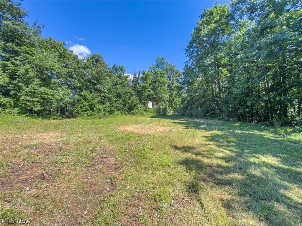 6985 Brush Run Road Cambridge, OH 43725 - Photo 28 of 50
