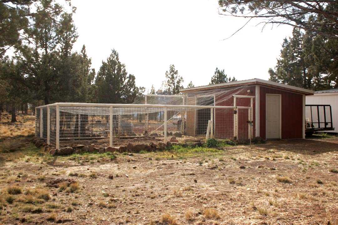 5100 Rocky Ridge Road Dorris, CA 96023 - Photo 9 of 13 Gallery Image 9