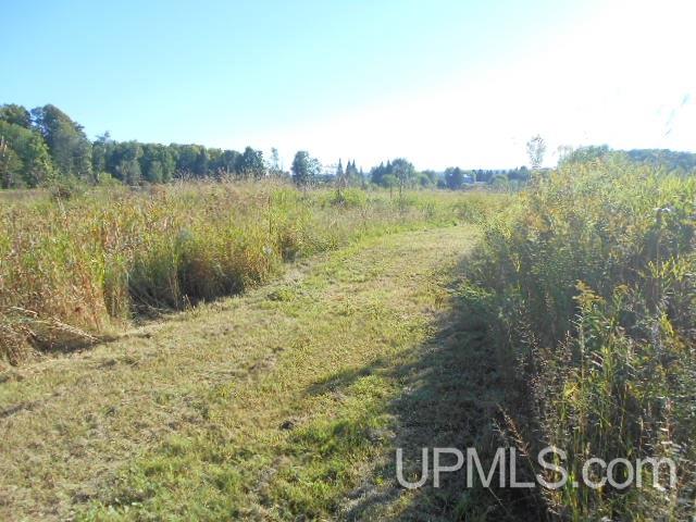 Tbd Miller Road Florence, WI 54121 - Photo 18 of 24