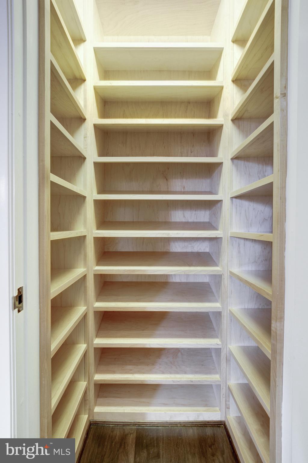 3329 Prospect Street Northwest, Unit 7 Washington, DC 20007 - Photo 22 of 50 a view of walk in closet with empty racks