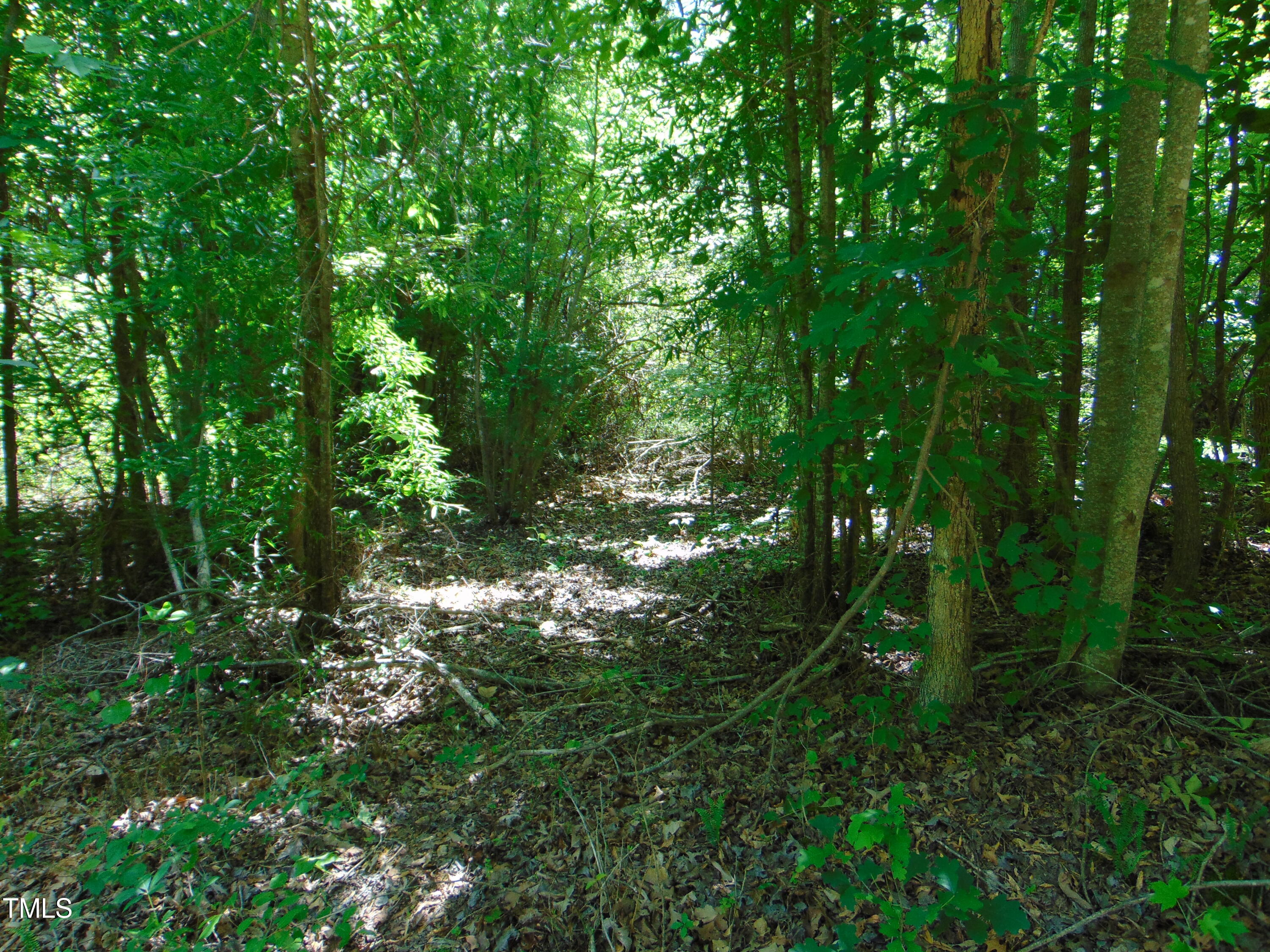 0 Virgilina Road Roxboro, NC 27574 - Photo 10 of 27 DSC00755