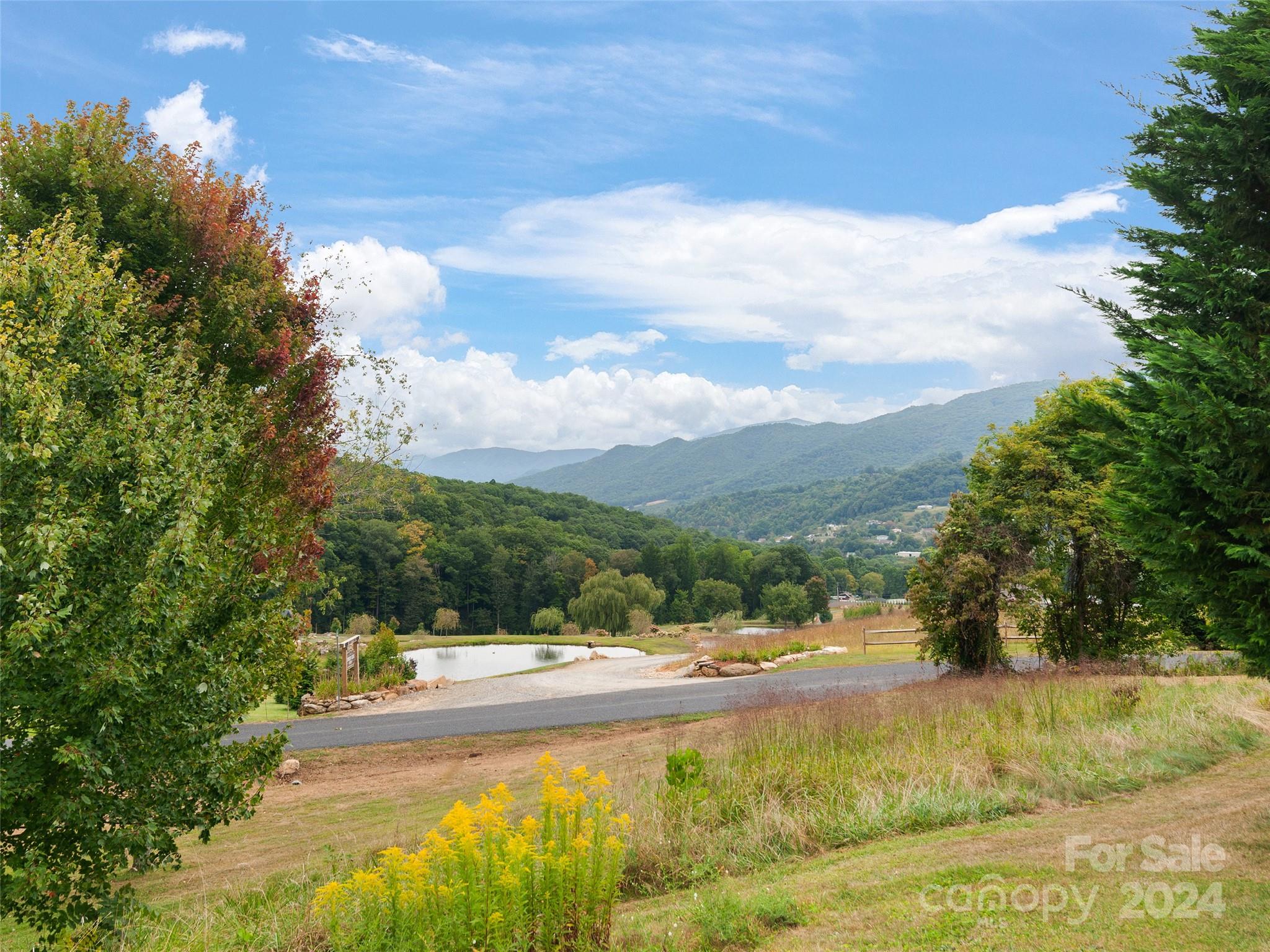 834 Walker Road Waynesville, NC 28786 - Photo 28 of 34
