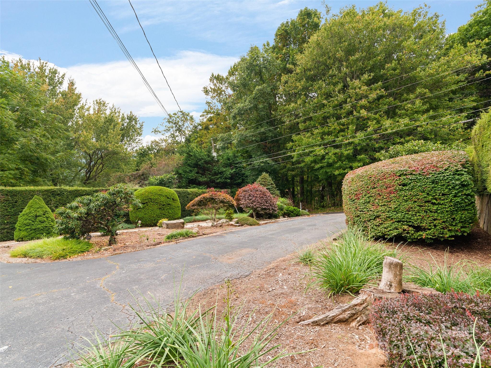834 Walker Road Waynesville, NC 28786 - Photo 3 of 34