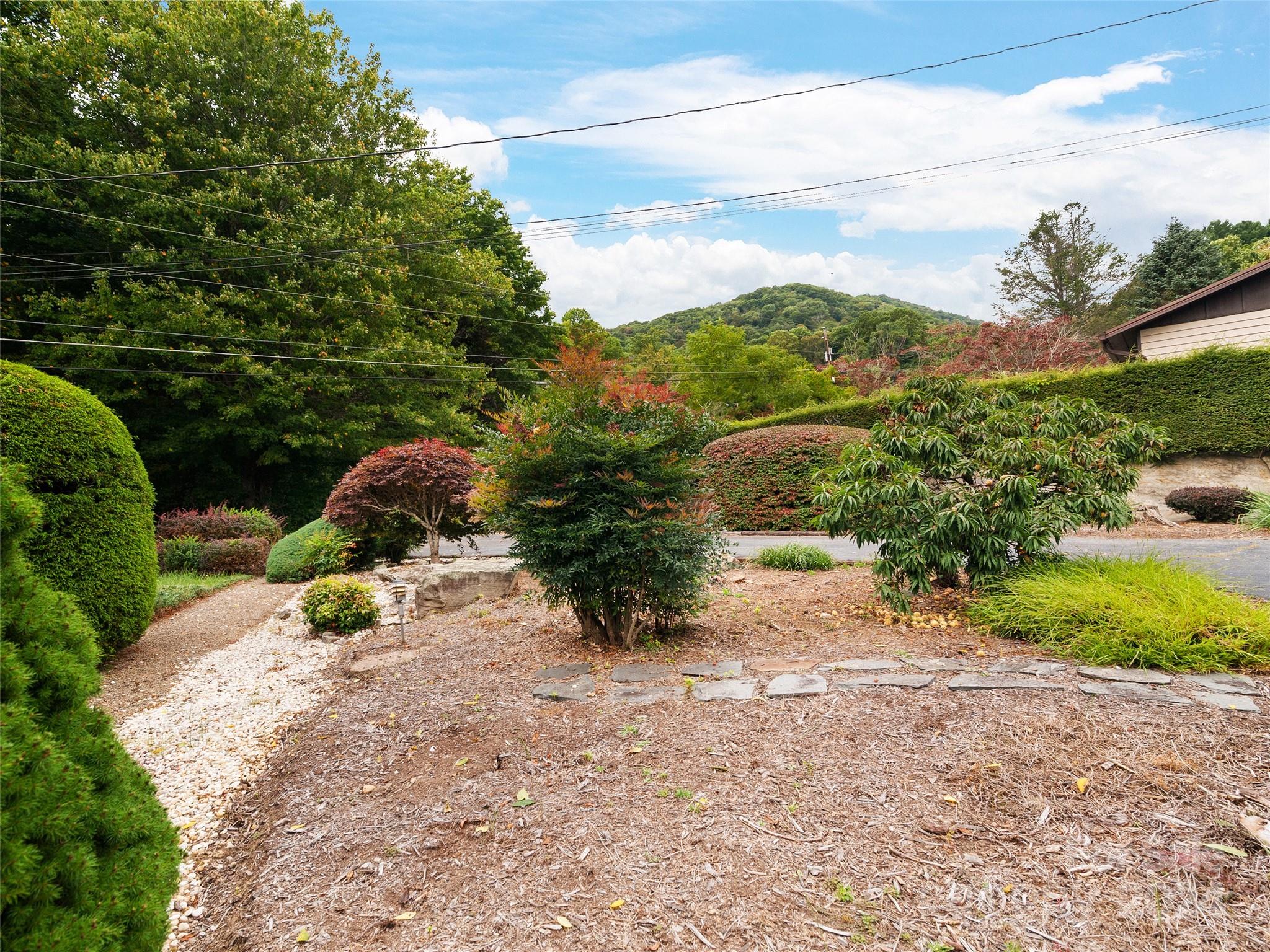 834 Walker Road Waynesville, NC 28786 - Photo 4 of 34