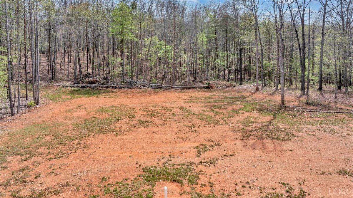 9900 Stonewall Road Appomattox, VA 24522 - Photo 34 of 49