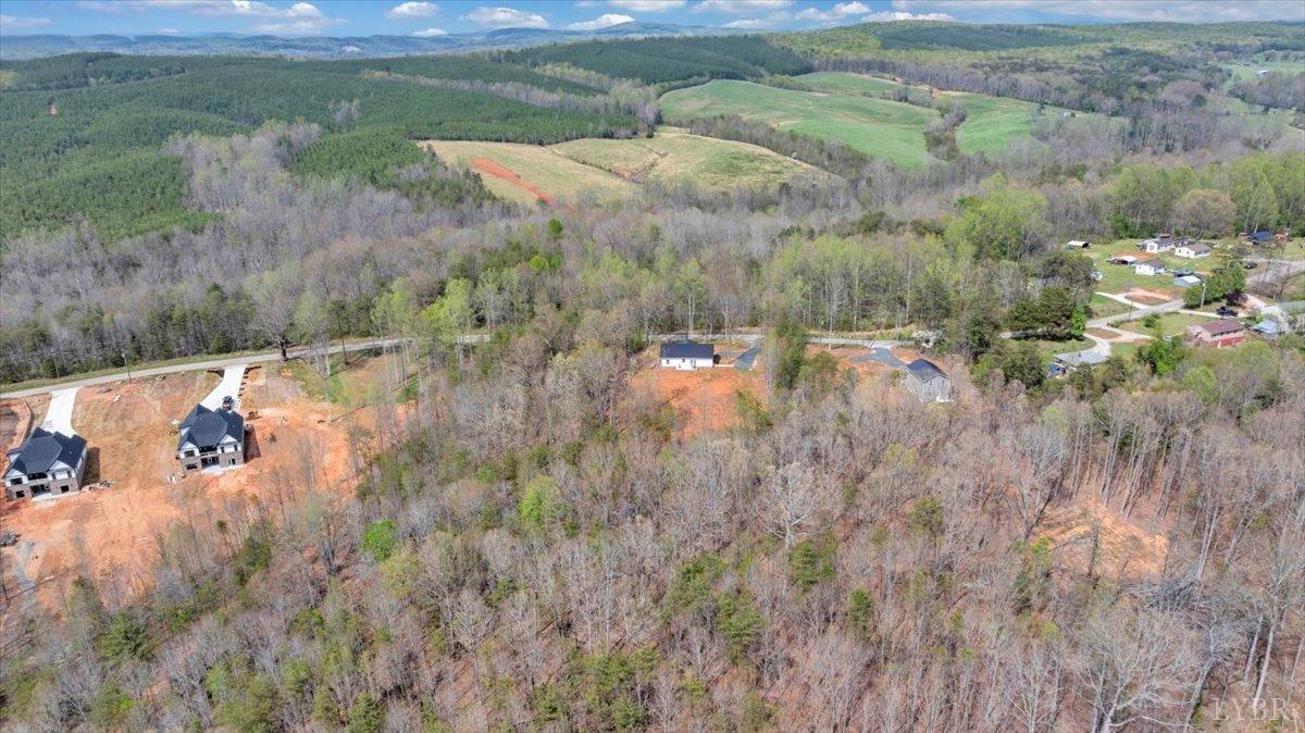 9900 Stonewall Road Appomattox, VA 24522 - Photo 37 of 49