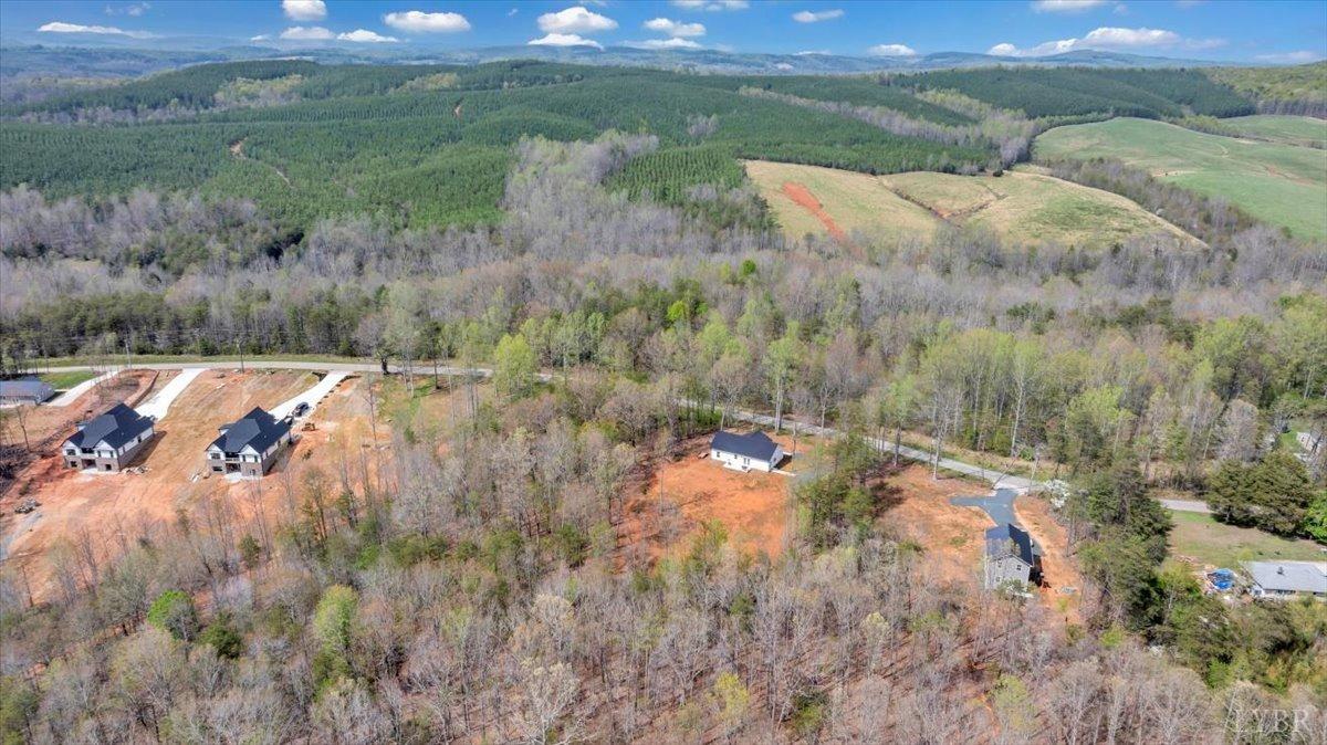 9900 Stonewall Road Appomattox, VA 24522 - Photo 38 of 49