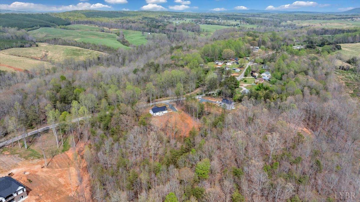 9900 Stonewall Road Appomattox, VA 24522 - Photo 46 of 49