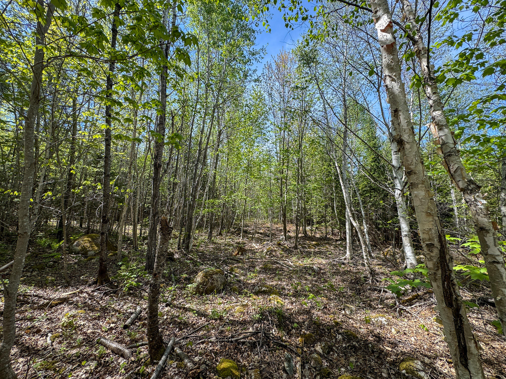 M2-l11-4 West Indian Road Lincoln, ME 04457 - Photo 23 of 27 24