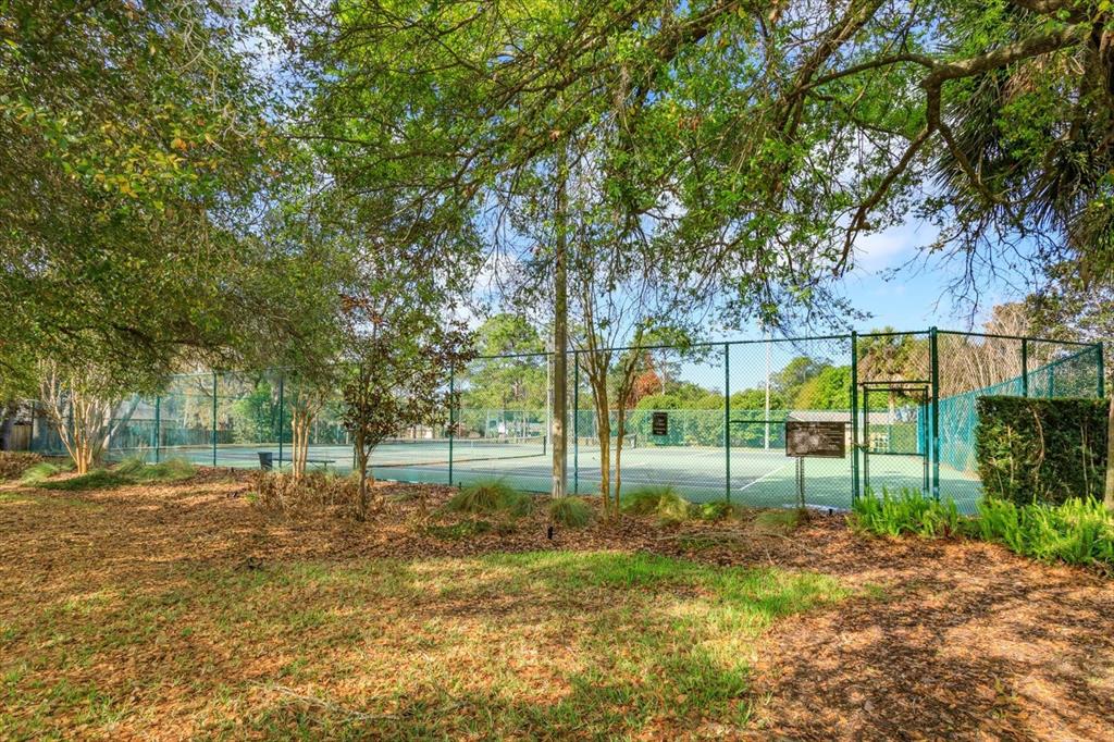 9237 Sabal Palm Circle Windermere, FL 34786 - Photo 43 of 44 a view of a yard with a tree