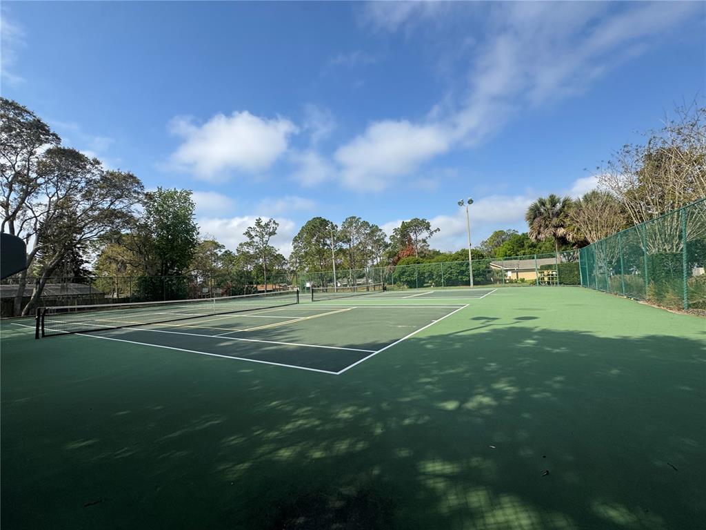 9237 Sabal Palm Circle Windermere, FL 34786 - Photo 44 of 44 a view of field with trees in background