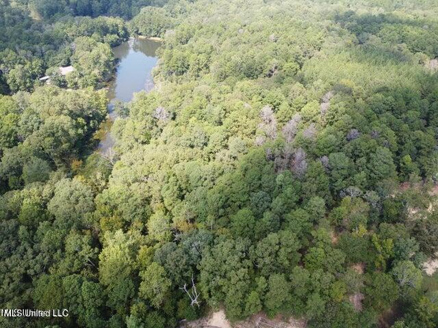 1 Evergreen Drive Brandon, MS 39042 - Photo 4 of 4 20241002164659657084000000-o