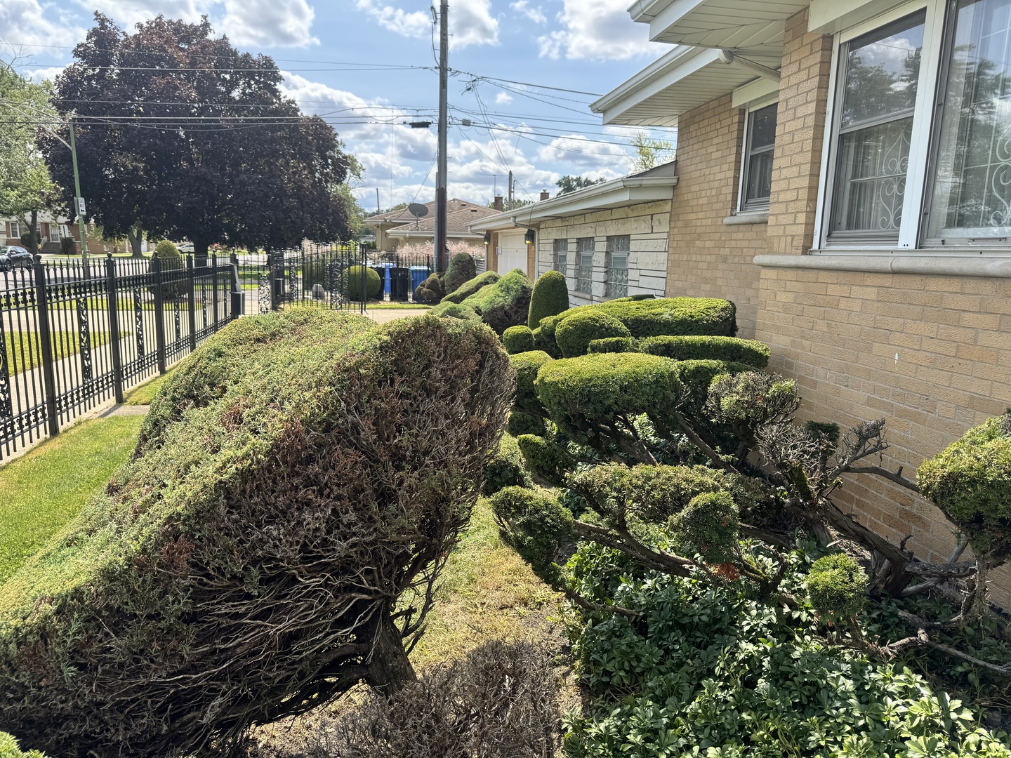 8900 South Prairie Avenue Chicago, IL 60619 - Photo 13 of 18 a view of a backyard house with large trees and plants