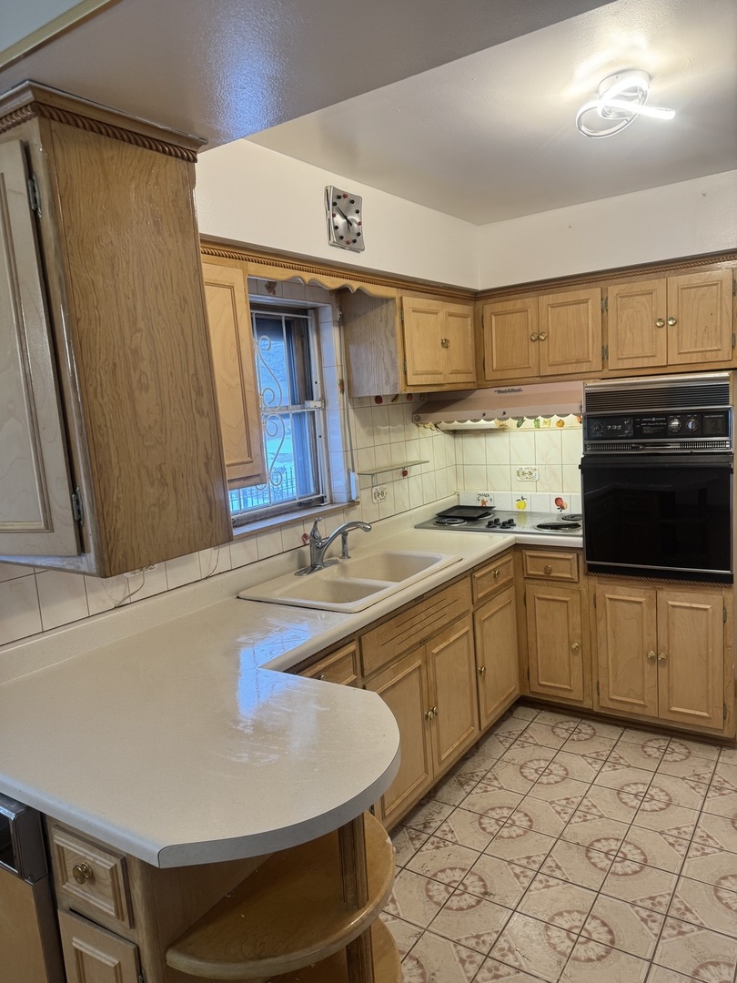 8900 South Prairie Avenue Chicago, IL 60619 - Photo 6 of 18 a kitchen with a sink appliances and cabinets