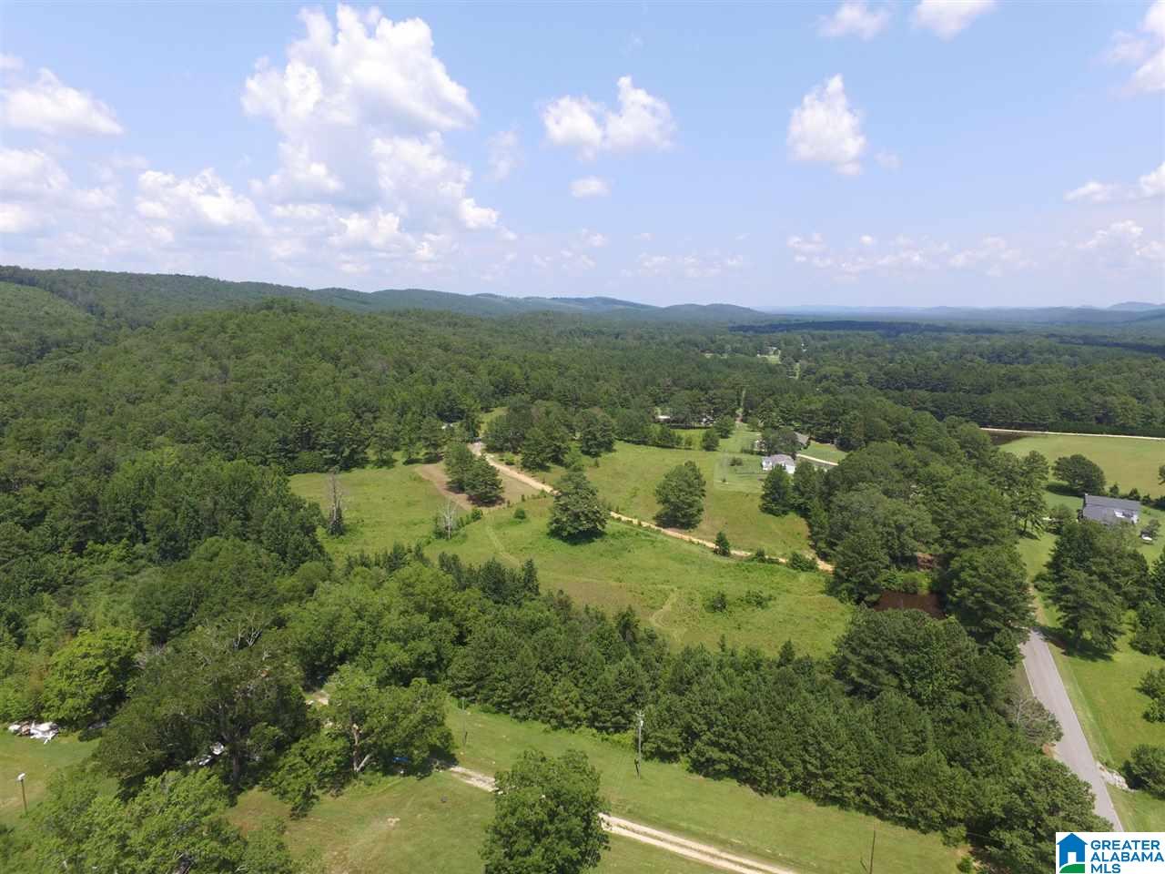 1703 Slasham Road Ashville, AL 35953 - Photo 3 of 26