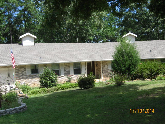 Main View