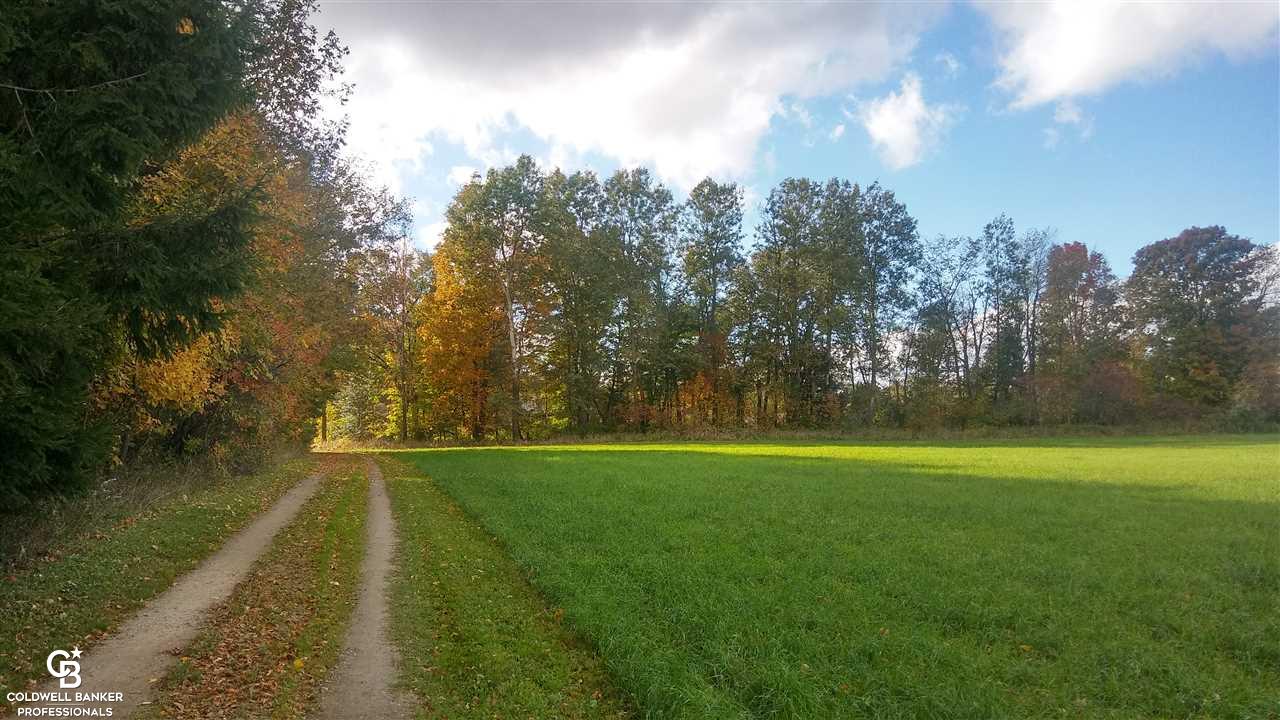 8655 Cork Road Yale, MI 48097 - Photo 34 of 50 31362968-33.JPG