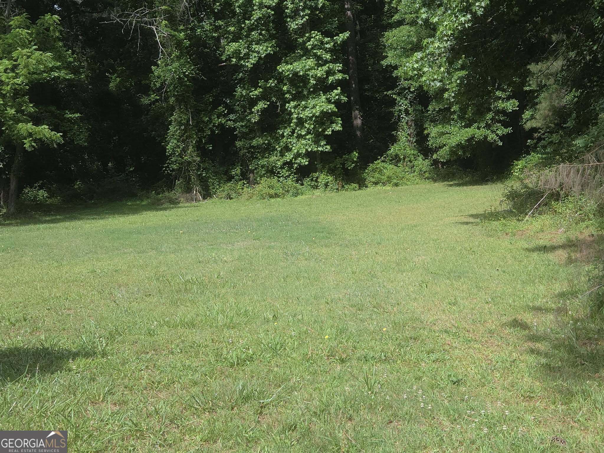 1752 Highway 162 Covington, GA 30016 - Photo 8 of 45