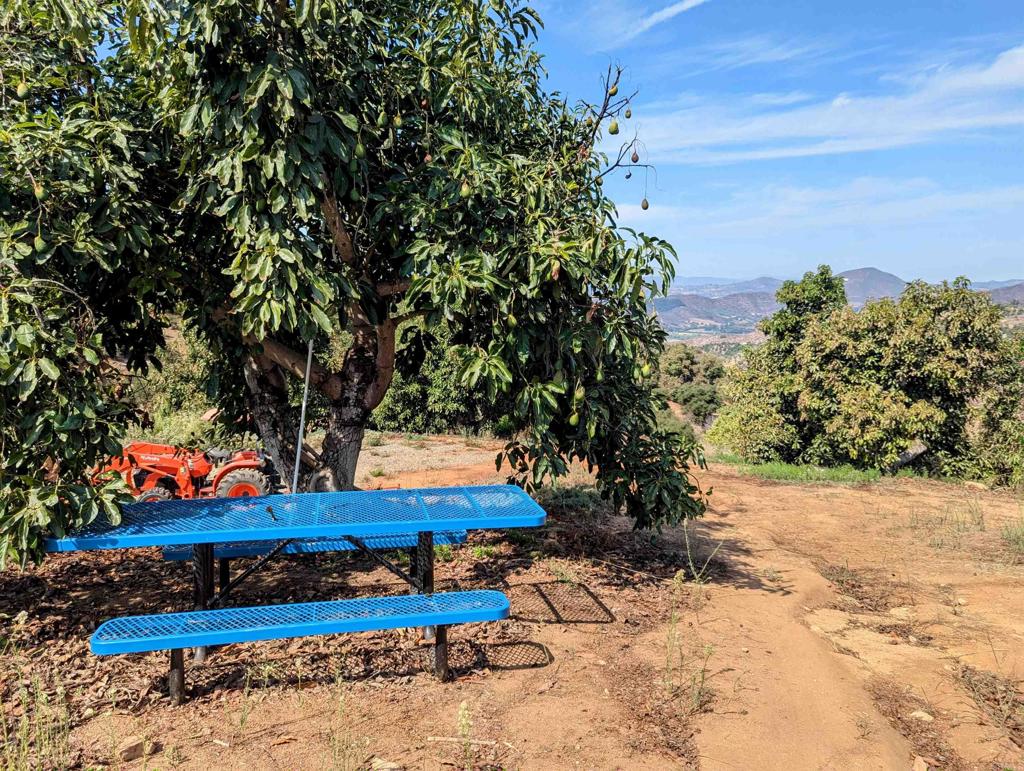 0 Couser Canyon Road Valley Center, CA 92082 - Photo 12 of 32