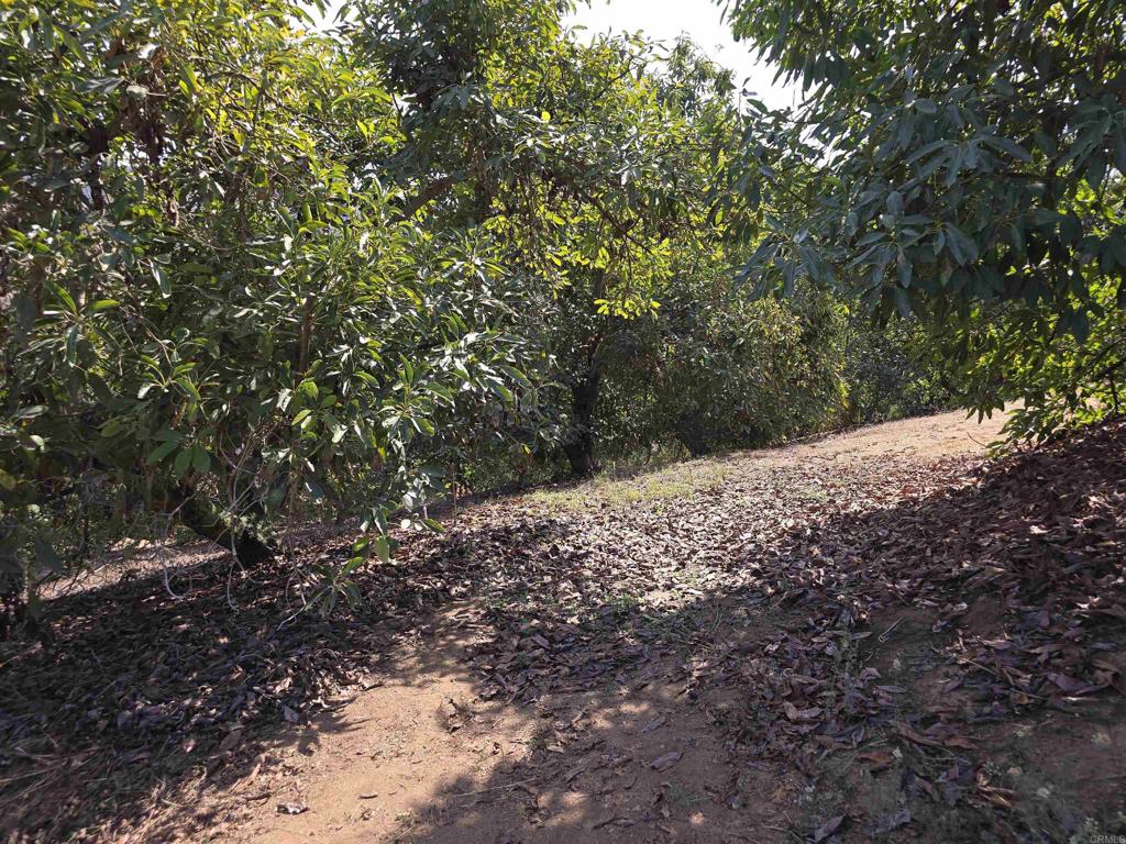 0 Couser Canyon Road Valley Center, CA 92082 - Photo 19 of 32 a view of mountain view