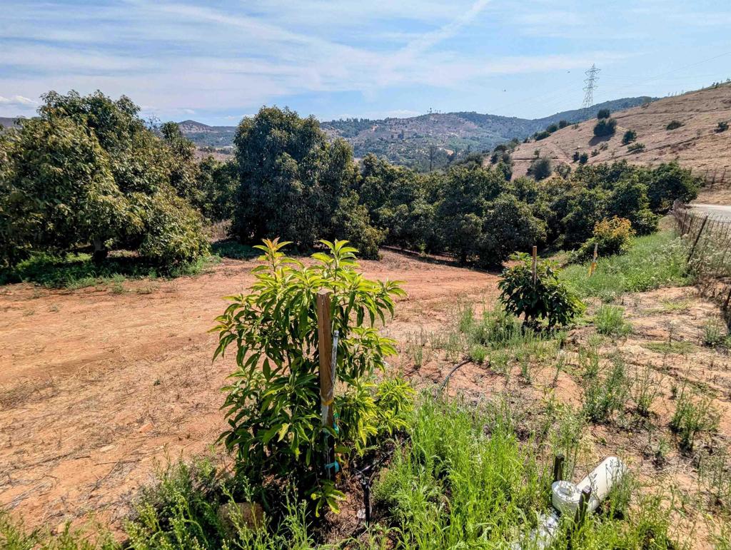 0 Couser Canyon Road Valley Center, CA 92082 - Photo 22 of 32 a view of a backyard of a house