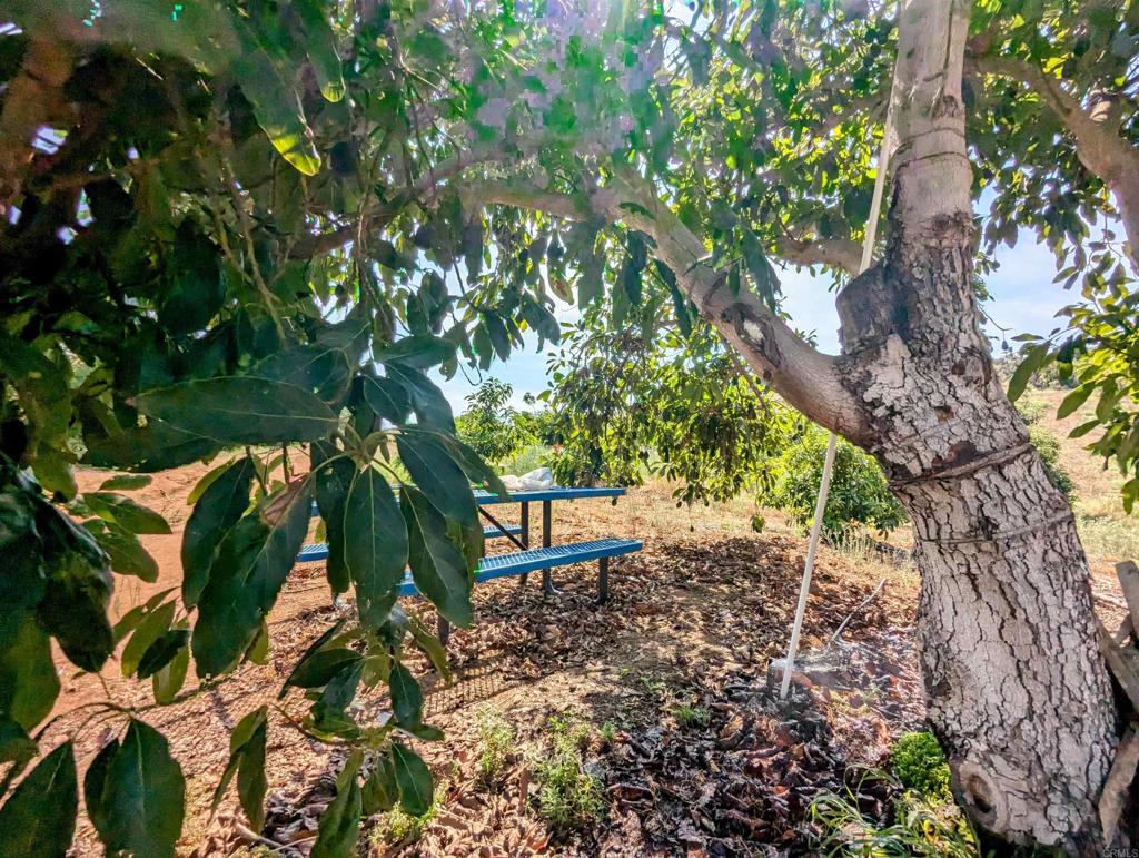 0 Couser Canyon Road Valley Center, CA 92082 - Photo 28 of 32 a backyard of a house with lots of green space