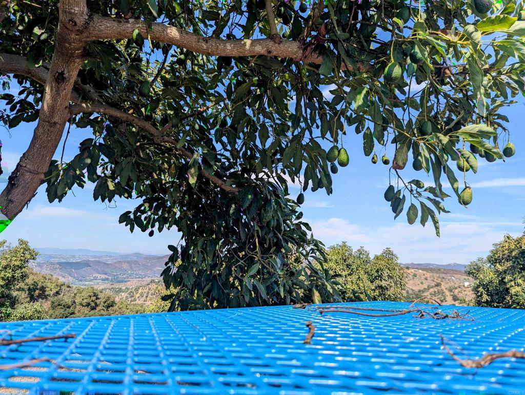 0 Couser Canyon Road Valley Center, CA 92082 - Photo 29 of 32 a view of an outdoor space and a yard