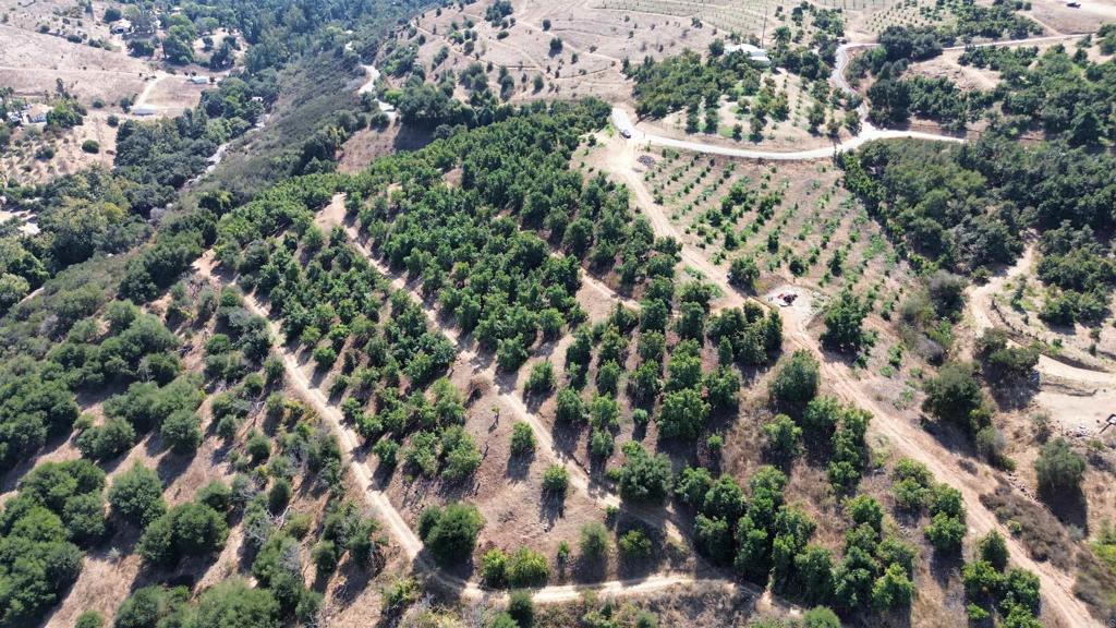 0 Couser Canyon Road Valley Center, CA 92082 - Photo 32 of 32 an aerial view of residential house with green space and trees all around